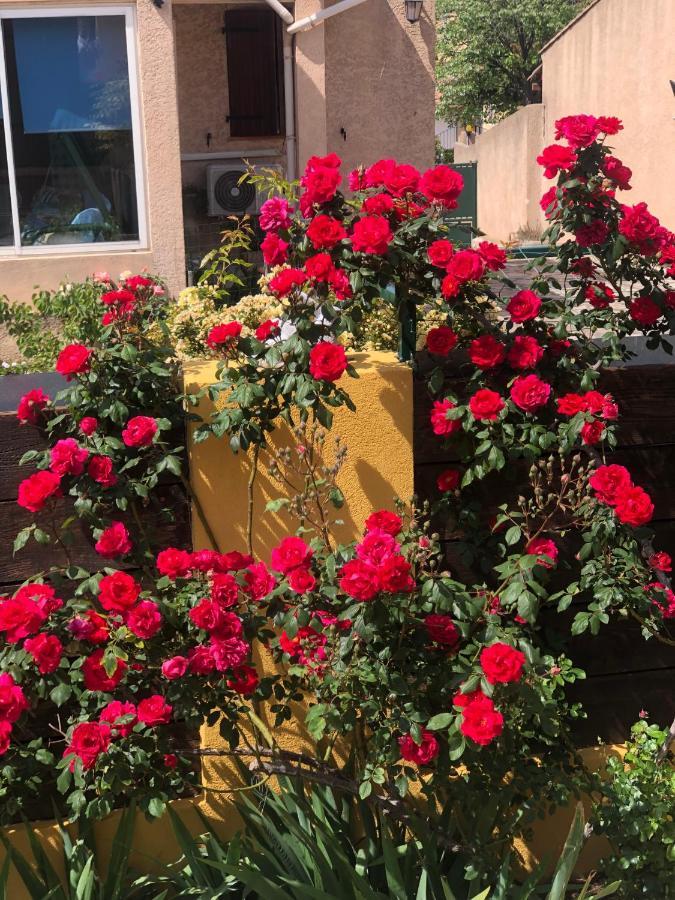 Bed and Breakfast Chez Guy Marsiglia Esterno foto
