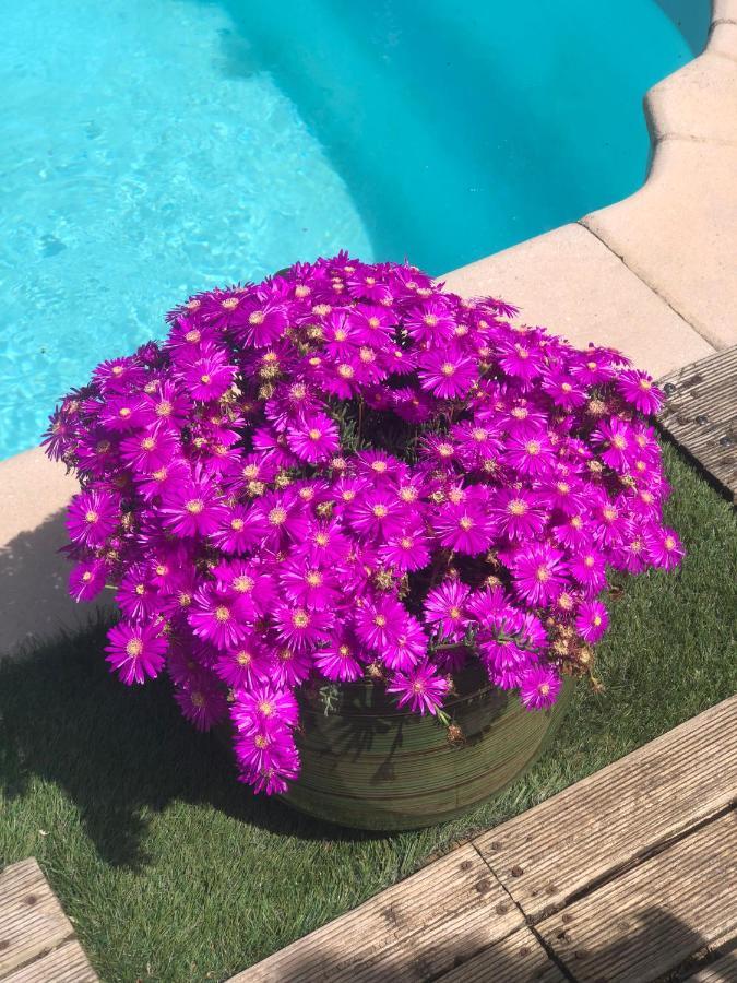 Bed and Breakfast Chez Guy Marsiglia Esterno foto